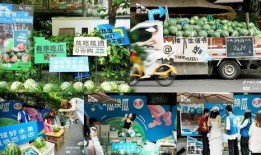 娱乐吃瓜街,揭秘娱乐圈背后的那些事儿